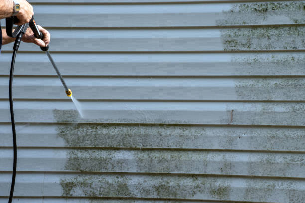 Best Demolition Debris Removal  in Kingsland, GA